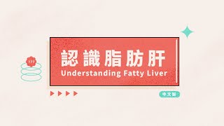 認識脂肪肝 Understanding Fatty Liver