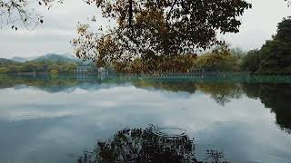 【relaxing music sleep】Light rain by the West Lake