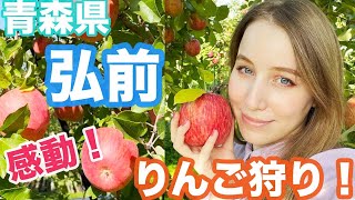 まるで天国！？青森県弘前市でりんご畑に行ってみて感動！🍎【東北の旅】