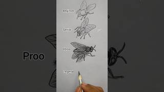 how to draw a housefly 😯😱 #art #youtubeshorts #shorts #trending #viral #@ArtwithBir_9