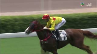 2017/18 (778) - Speed Vision (極速駿馬) - 莫雷拉