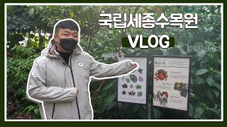 [수목원 Vlog] 열대온실의 베고니아정원