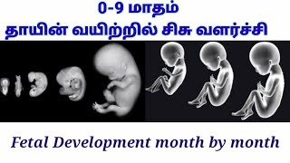 தாயின் வயிற்றில் சிசு வளர்ச்சி, 0-9 months of baby development in womb in Tamil