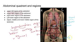 Anatomy lab (BIO_251L_2H) exam 1 study guide review