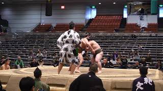 服部桜🌸100敗★ 小兵を仕留めきれず…通算100敗1勝1休 4K最高画質　敏夷東　SUMO　Hattorizakura