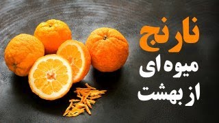 طریقه مصرف و خواص نارنج