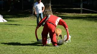 Czech and Austrian Championship in Mondioring 2017 Jiri Toman and Eclipse Olbramovický kvítek