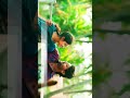 urugi urugi song whatsapp status _ Joe _shorts _joemovie _tamillovestatus _tamilstatus PJ ManojEdits