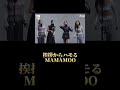 挨拶でハモってしまうアイドル mamamoo kpop shorts solar moonbyul wheein hwasa ママム