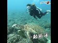 【飛勻屏東】小硫球潛水包住宿！🐢 4日3夜海龜陪你考牌 by sam拍胃