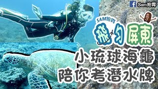 【飛勻屏東】小硫球潛水包住宿！🐢 4日3夜海龜陪你考牌 by Sam拍胃