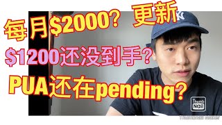 [4月28更新]政府是否每月发$2000看法|1200为什么还没领到|PUA失业金还在pending状态更新