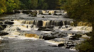 Spectacular Aysgarth Falls Yorkshire Dales National Park in Autumn  【秋天的约克郡河谷国家公园】壮观的艾斯加斯瀑布