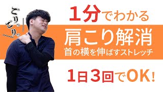 【１分でわかる】【肩こり】首横のストレッチ【まいれ整骨院グループ】