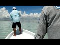 tarpon fishing belize