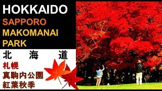 HOKKAIDO X / SAPPORO MAKOMANAI PARK - SAMPLE ITINERARY / 北海道X / 札幌 真駒内公園 - 行程様本