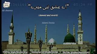 A ishaq_e_Nabi maray / beautiful naat Kareem 💕#viralvideo #islami #islamicdunia #subscribe