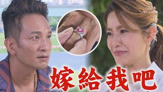 【一家團圓】EP149 曼妮幫家寶還債是為了錢?! 添恩向雅芳求婚了....│Family Reunion