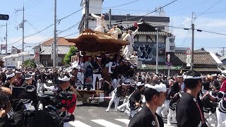 令和5年9月3日　岸和田市制100周年　だんじり記念曳行　入場