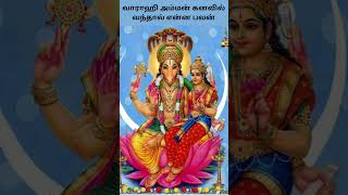 வாராஹி அம்மன் கனவில் வந்தால் என்ன‌ பலன் | Varahi Amman Kanavil Vanthal Enna Palan | Digital Naveen