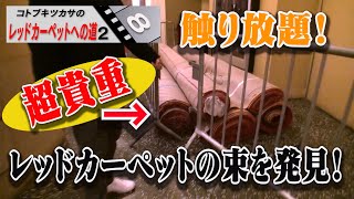 【コトブキツカサのレッドカーペット２】No.８映画パーソナリティコトブキツカサがアカデミー会員になる日まで。アカデミー賞会場に行くとレッドカーペットの束がどっさり！