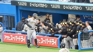 【確信歩き】佐藤輝明、ヤクルト・小川から右中間スタンドにホームラン！オープン戦第1号【ヤクルトvs阪神】2023.3.17