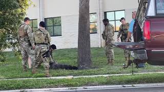 8ft Alligator removed from Macdill AFB