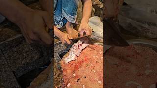 Amazing Fast Tilapia Fish Cutting Skills In Bangladesh Fish Market By Expert Cutter #shorts