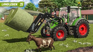 LS25: Die ersten TIERE ziehen ein! | Landleben #3 | LANDWIRTSCHAFTS SIMULATOR 25