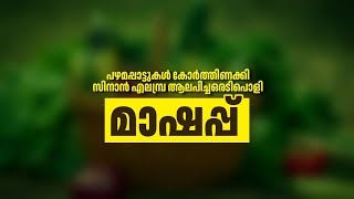 പഴമ പാട്ടുകൾ കോർത്തിണക്കി കൊണ്ട് ഒരു അടിപൊളി MADH MASHUP SONGS | SINAN ELAMBRA