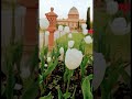 Mughal Garden all information 2022 Online booking udyanotsav free entry Rashtrapati Bhawan Delhi