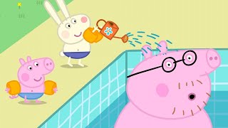 Daddy Pig's Swimming FAIL🏊 Peppa Pig Asia 🐽 Peppa Pig Full Episodes