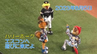 20230805 ファイターズ エスコンにハリーホークが遊びに来たよ！