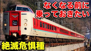 【絶滅危惧種】引退までに乗っておきたい貴重な車両たち