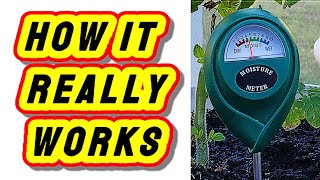 How Do Plant Moisture Meters Work? A Simple Guide