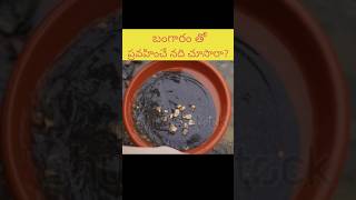 బంగారం తో ప్రవహించే నది 😱#shorts #ytshorts #viral