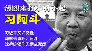 习近平又坏又蠢，薄熙来直呼：阿斗！沈德咏领刑无期或死缓 | 薄熙来打小看不起习阿斗-明镜读书（梁峻）