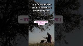 যে ব্যক্তি অন্যের উপর দয়া করে, আল্লাহ তার উপর দয়া করবেন।