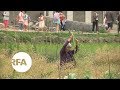 China's Farming Falls on Elderly | Radio Free Asia (RFA)