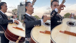 Así toca el maestro Pedro Hernández su Guitarrón 🔥(Nuevo Tecalitlan)