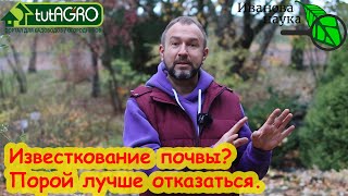 НЕ БРОСАЙТЕСЬ ИЗВЕСТКОВАТЬ ПОЧВУ! Раскисление без известкования. Чем безопасно раскислить грунт.