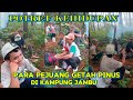 POTRET KEHIDUPAN PARA PEJUANG GETAH PINUS