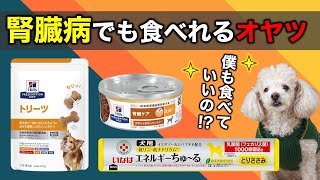 【犬の腎臓病】腎臓病の犬にあげても良いオヤツ3選