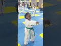 تايكوندو taekwondo shorts short taekwondo