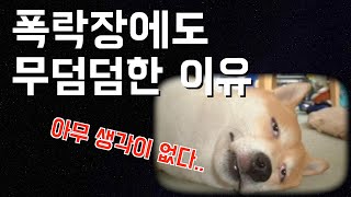 주식시장 폭락장에도 무덤덤한 이유 / 한달 -3,224만원 손실 경험 / 하락장에서 해야할일