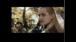 THE HOBBIT 2 - BARRELS SCENE - LEGOLAS / TAURIEL SCENE