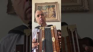 Quatrième Ornement double de la Gigue du Diamant Bleu. #lygeros #music #accordion