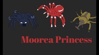 Bug World Production Music: Moorea Princess