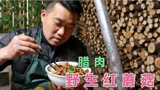 野生“红蘑菇”你吃过吗？小农乡用来炒腊肉，中午又吃一大碗饭