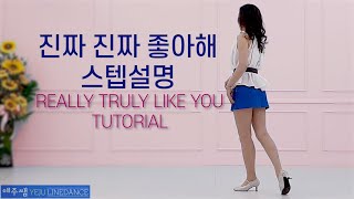 [예주쌤라인댄스]진짜 진짜 좋아해 라인댄스 스텝설명 Really Truly Like You Line Dance Tutorial